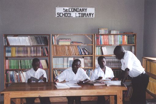 students in the library